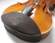 String King paddy violin viola