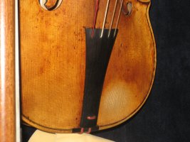 String King paddy violin viola