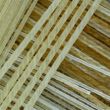1.08 mm - high twist / varnished - Beef gut - 2