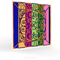 20 1/4 PM - Vla C-4 - Passione - gut/tungsten-silver
