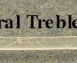 0.94 mm- Treble/non varnished - Sheep gut - 2