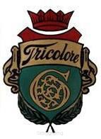 Tricolore gut/silver - Violin d-3 Light