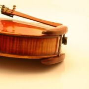Double-Chinrest-Vla_Boxwood-bottom fittings