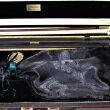 Silk Bag - Viola Large - Black Floral Paisley - 2
